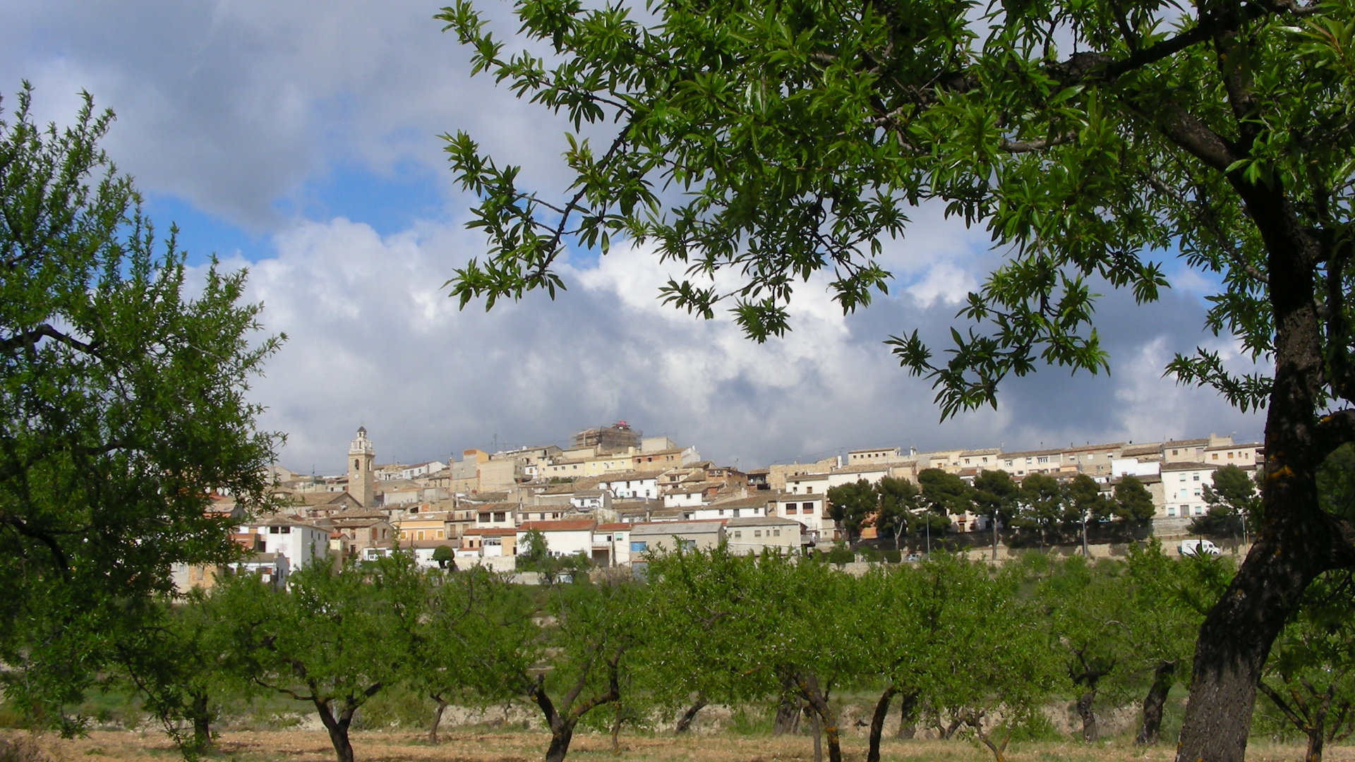 Torremanzanas